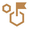Why Choose Us Icon